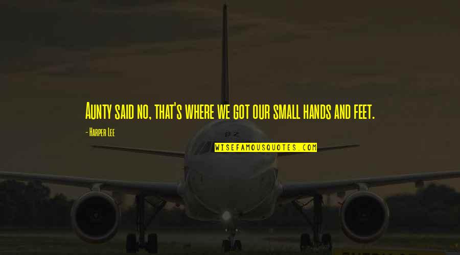 Meztli Aztec Quotes By Harper Lee: Aunty said no, that's where we got our