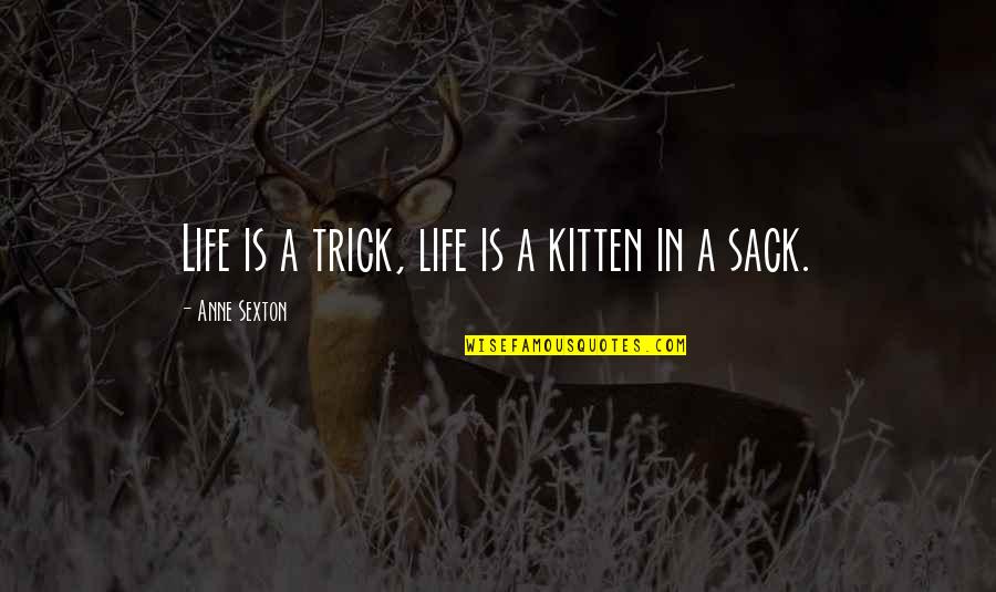 Mezzaro Quotes By Anne Sexton: Life is a trick, life is a kitten Mezzaro Quotes By Anne Sexton: Life is a trick, life is a kitten