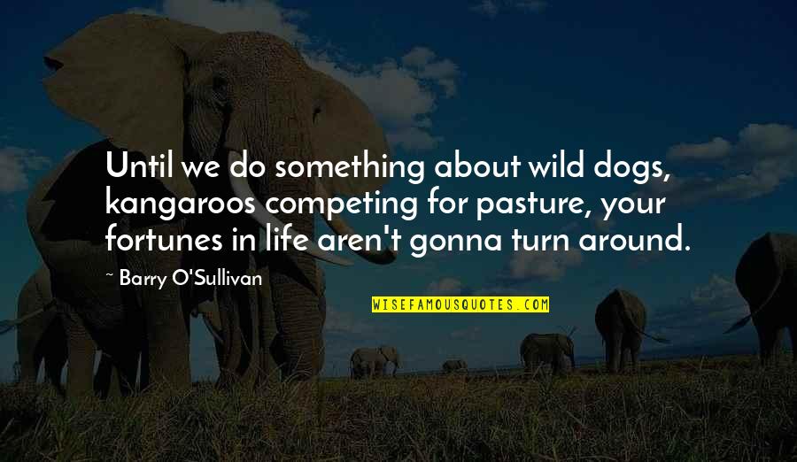 Mfana Blended Quotes By Barry O'Sullivan: Until we do something about wild dogs, kangaroos