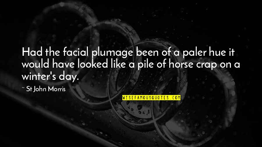 Mfantsipim Quotes By St John Morris: Had the facial plumage been of a paler Mfantsipim Quotes By St John Morris: Had the facial plumage been of a paler