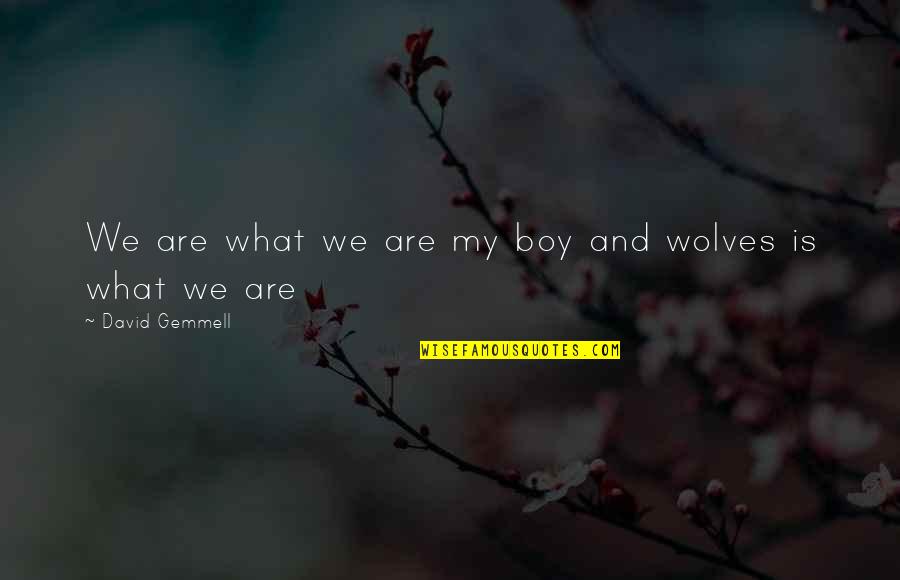 Mfnx Quotes By David Gemmell: We are what we are my boy and Mfnx Quotes By David Gemmell: We are what we are my boy and