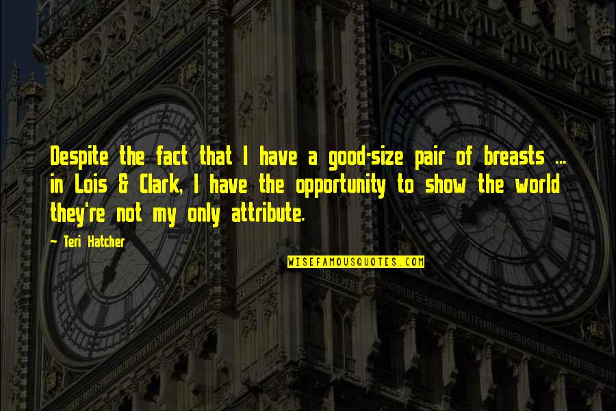 Mga Babaeng Mukhang Pera Quotes By Teri Hatcher: Despite the fact that I have a good-size