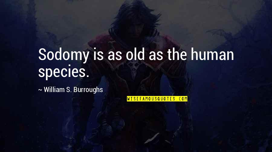 Mgongo For Sale Quotes By William S. Burroughs: Sodomy is as old as the human species.