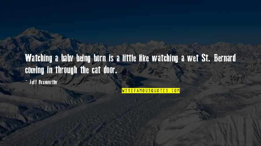 Mgpi Stock Quotes By Jeff Foxworthy: Watching a baby being born is a little Mgpi Stock Quotes By Jeff Foxworthy: Watching a baby being born is a little