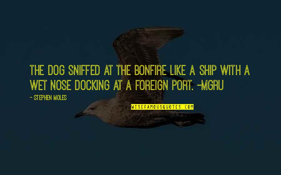 Mgru Quotes By Stephen Moles: The dog sniffed at the bonfire like a