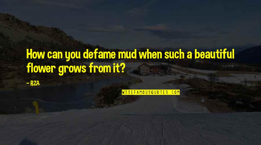 Mhmra Quotes By RZA: How can you defame mud when such a
