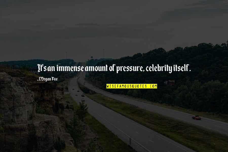 Mi Abuela Quotes By Megan Fox: It's an immense amount of pressure, celebrity itself.