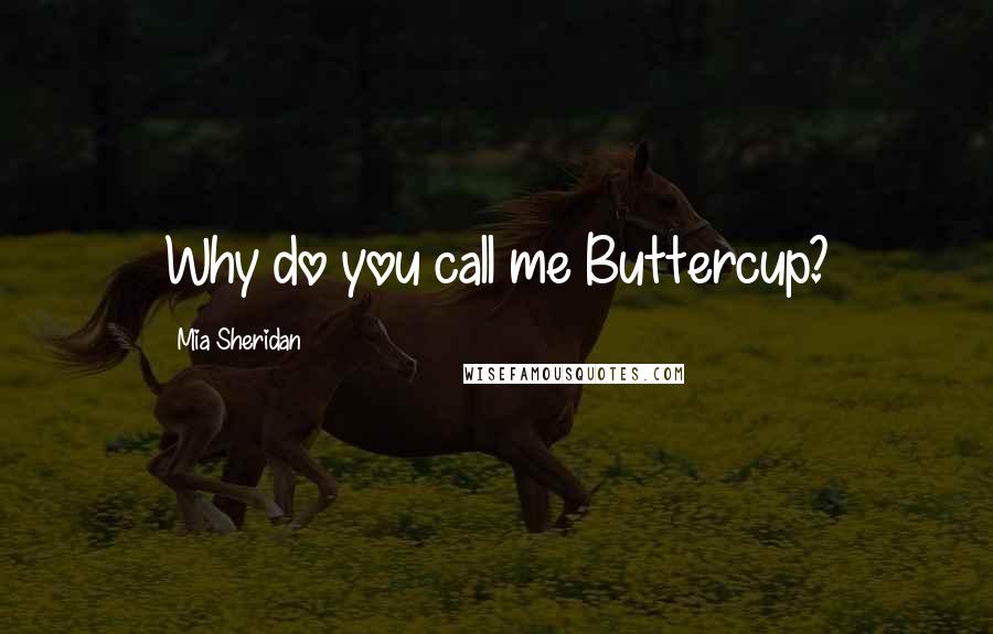 Mia Sheridan quotes: Why do you call me Buttercup?