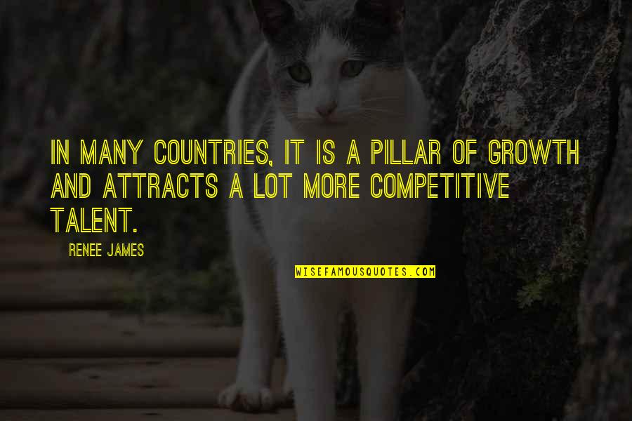 Miami Twice Quotes By Renee James: In many countries, IT is a pillar of