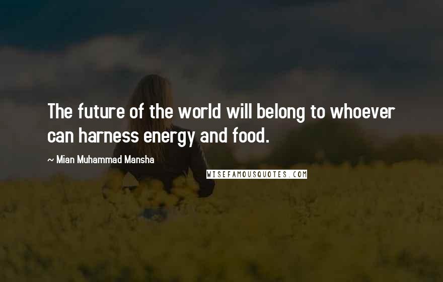 Mian Muhammad Mansha quotes: The future of the world will belong to whoever can harness energy and food.