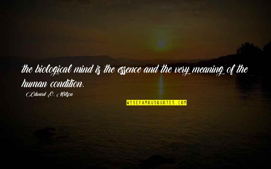 Micaelle Wei Quotes By Edward O. Wilson: the biological mind is the essence and the
