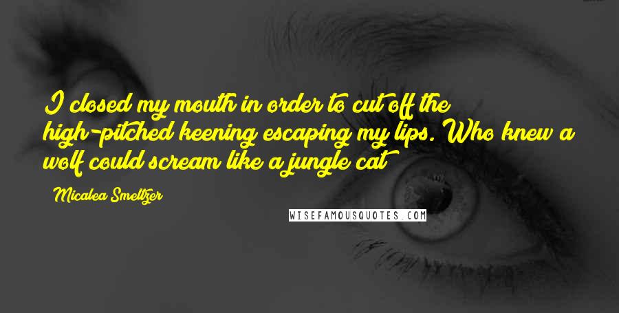 Micalea Smeltzer quotes: I closed my mouth in order to cut off the high-pitched keening escaping my lips. Who knew a wolf could scream like a jungle cat?