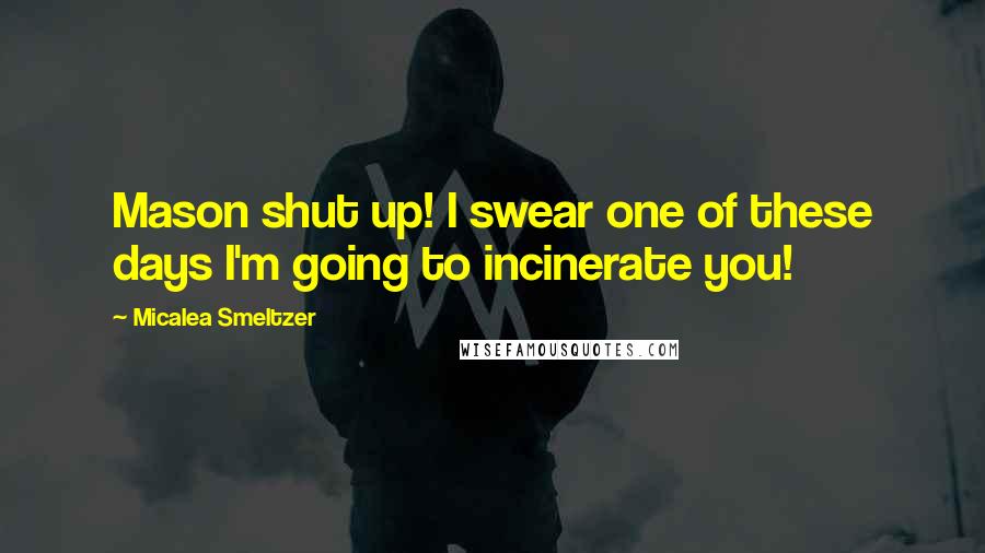 Micalea Smeltzer quotes: Mason shut up! I swear one of these days I'm going to incinerate you!