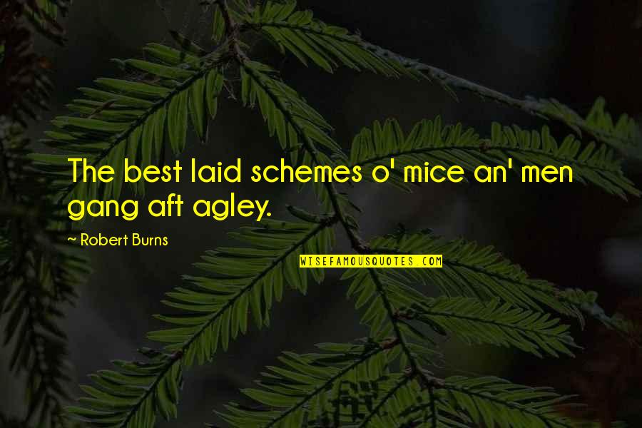 Mice In Of Mice And Men Quotes By Robert Burns: The best laid schemes o' mice an' men