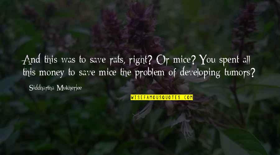 Mice Quotes By Siddhartha Mukherjee: And this was to save rats, right? Or