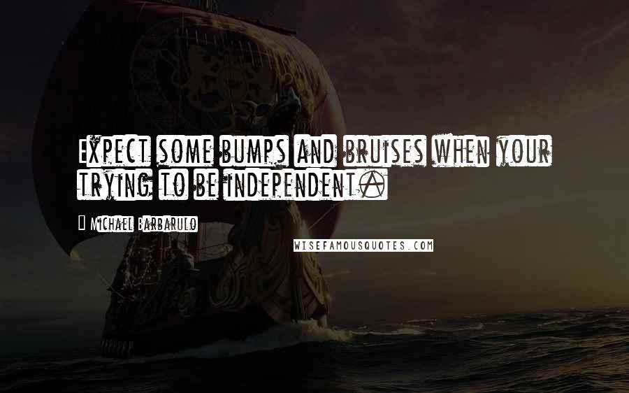 Michael Barbarulo quotes: Expect some bumps and bruises when your trying to be independent.