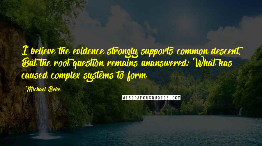Michael Behe quotes: I believe the evidence strongly supports common descent. But the root question remains unanswered: What has caused complex systems to form? Michael Behe quotes: I believe the evidence strongly supports common descent. But the root question remains unanswered: What has caused complex systems to form?