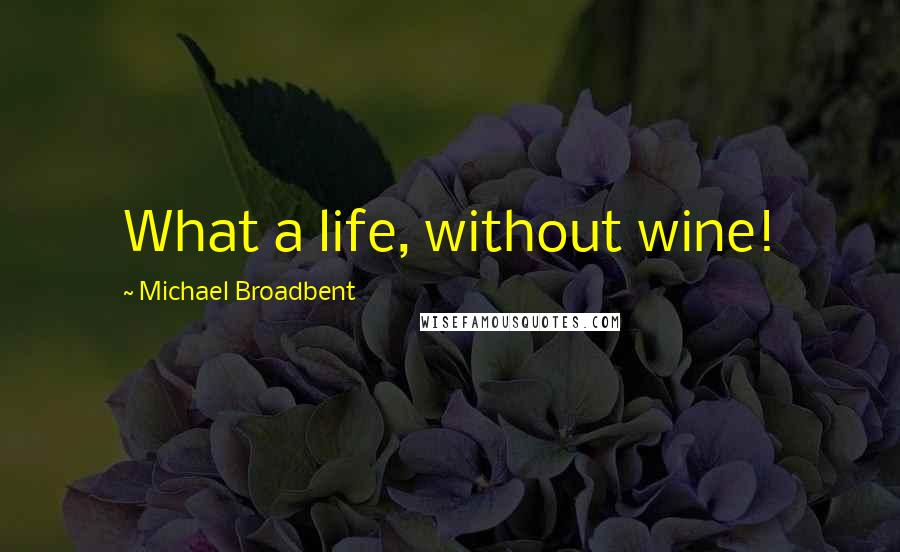 Michael Broadbent quotes: What a life, without wine!