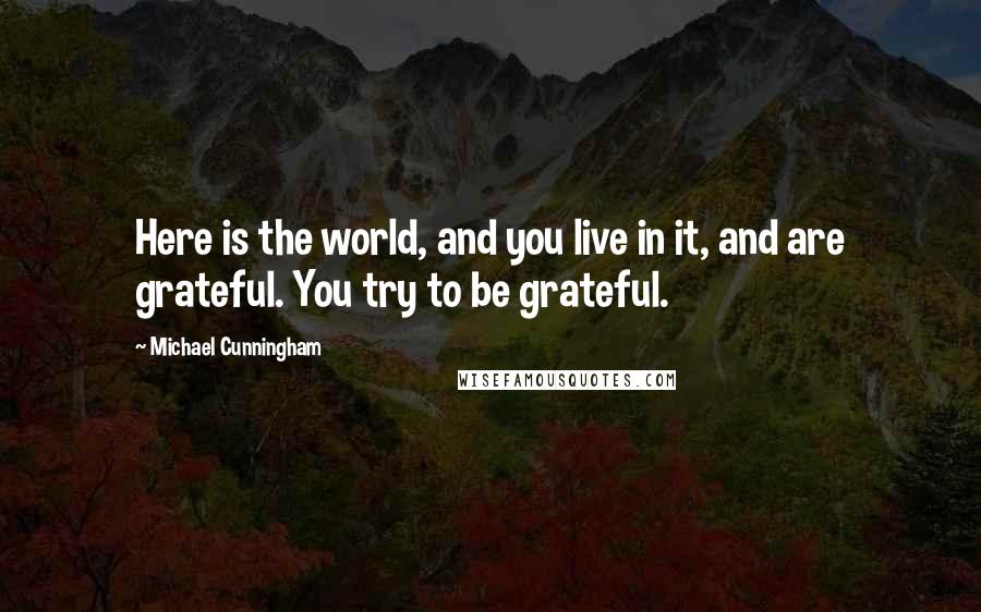 Michael Cunningham quotes: Here is the world, and you live in it, and are grateful. You try to be grateful.