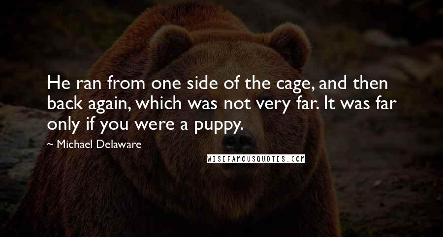 Michael Delaware quotes: He ran from one side of the cage, and then back again, which was not very far. It was far only if you were a puppy.