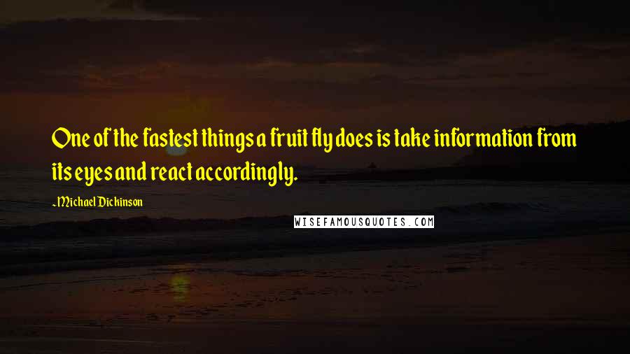 Michael Dickinson quotes: One of the fastest things a fruit fly does is take information from its eyes and react accordingly. Michael Dickinson quotes: One of the fastest things a fruit fly does is take information from its eyes and react accordingly.