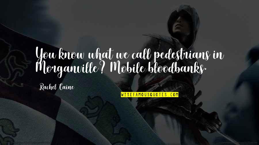 Michael Eve Quotes By Rachel Caine: You know what we call pedestrians in Morganville?