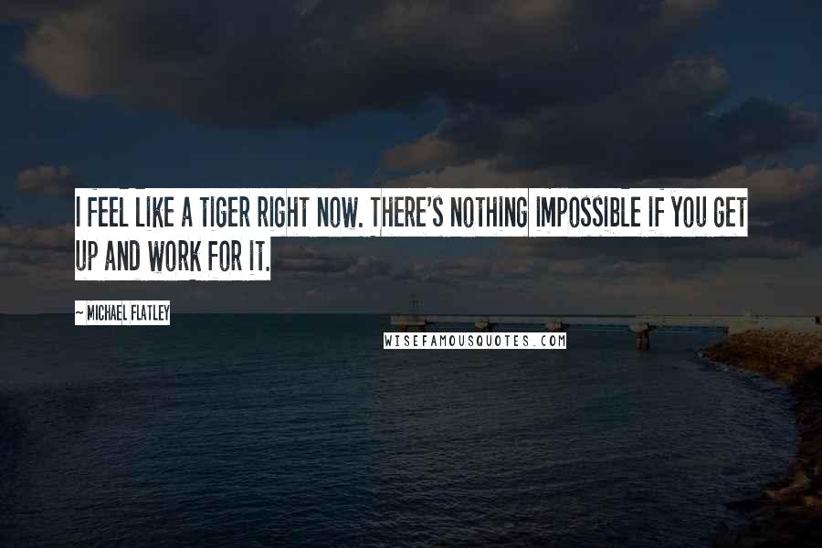 Michael Flatley quotes: I feel like a tiger right now. There's nothing impossible if you get up and work for it.
