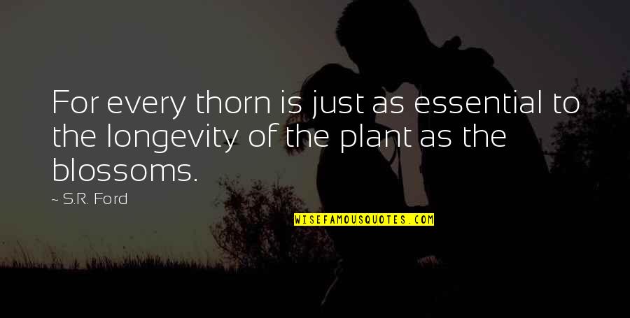 Michael Ford Quotes By S.R. Ford: For every thorn is just as essential to