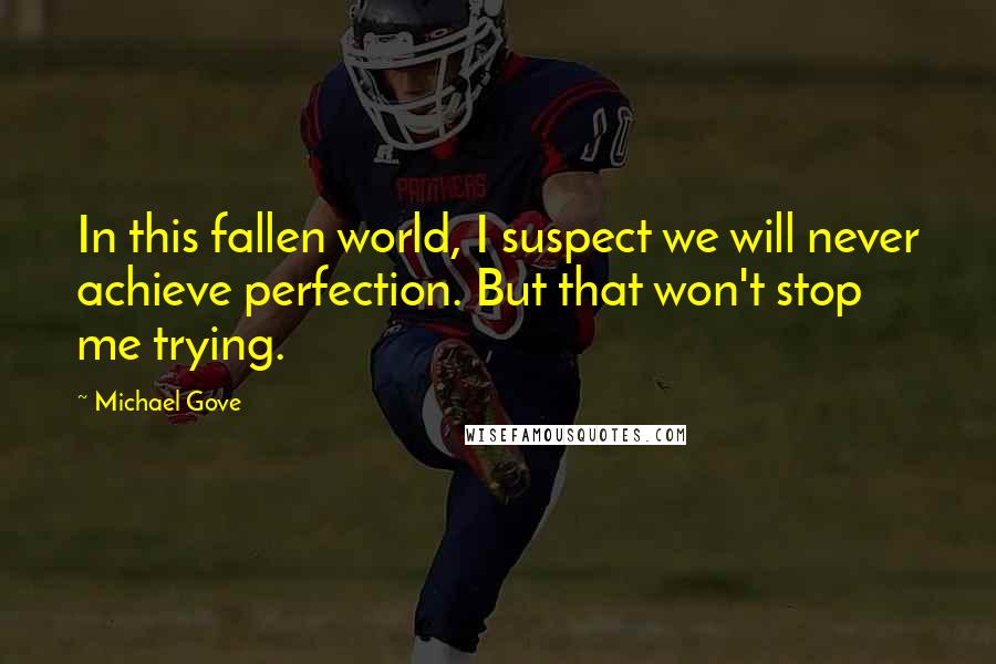 Michael Gove quotes: In this fallen world, I suspect we will never achieve perfection. But that won't stop me trying.