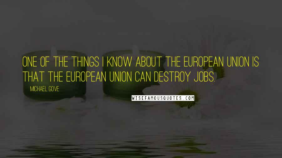Michael Gove quotes: One of the things I know about the European Union is that the European Union can destroy jobs.