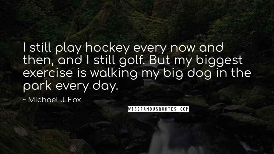 Michael J. Fox quotes: I still play hockey every now and then, and I still golf. But my biggest exercise is walking my big dog in the park every day.