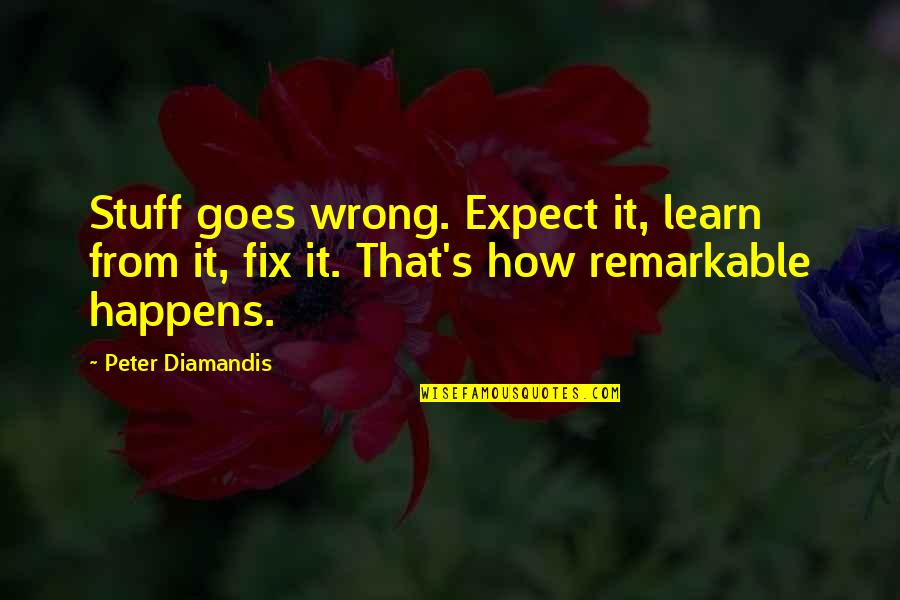 Michael Jn Put In The Work Quote Quotes By Peter Diamandis: Stuff goes wrong. Expect it, learn from it,
