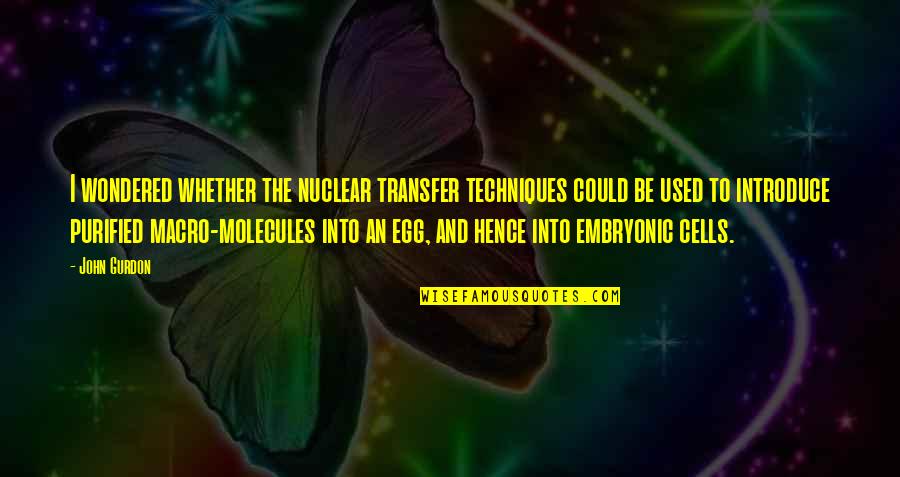 Michael Jordan Nba Finals Quotes By John Gurdon: I wondered whether the nuclear transfer techniques could