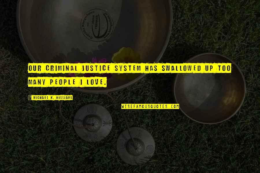 Michael K Williams Quotes By Michael K. Williams: Our criminal justice system has swallowed up too