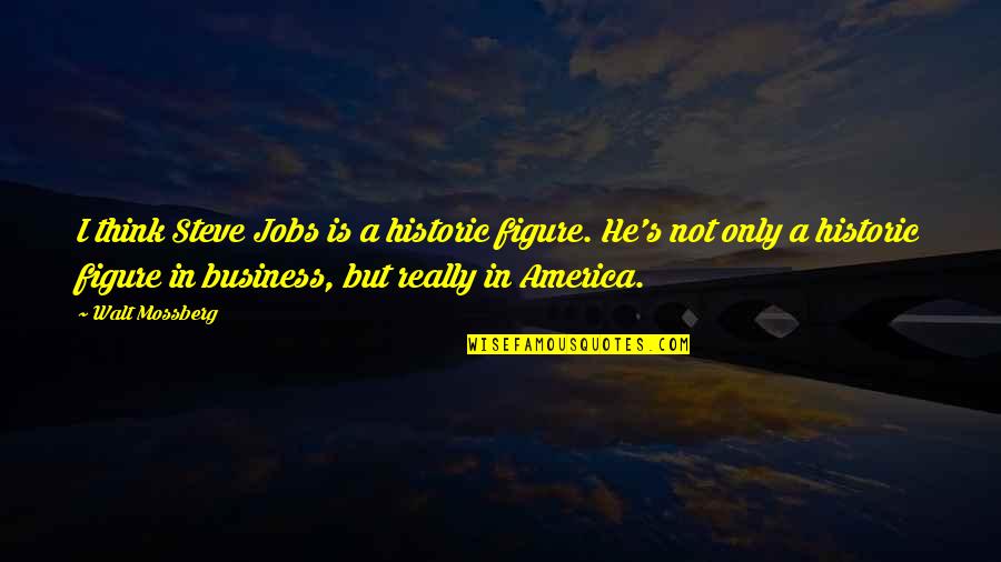 Michael Madsen Mr Blonde Quotes By Walt Mossberg: I think Steve Jobs is a historic figure.