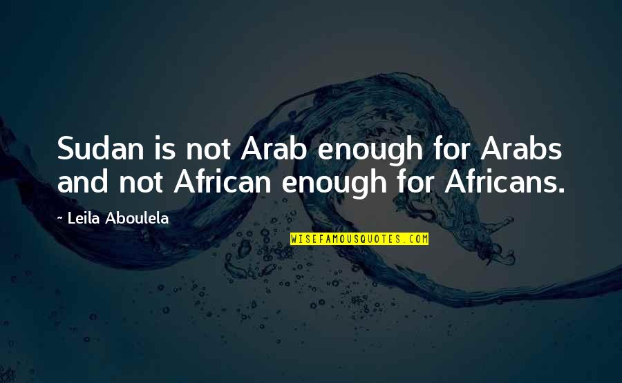 Michael Mansfield Quotes By Leila Aboulela: Sudan is not Arab enough for Arabs and