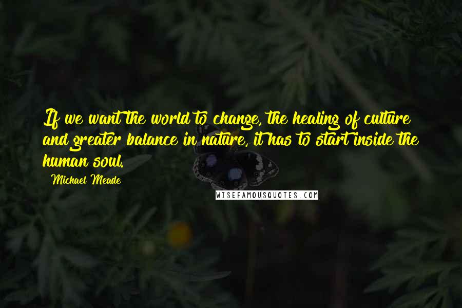 Michael Meade quotes: If we want the world to change, the healing of culture and greater balance in nature, it has to start inside the human soul.