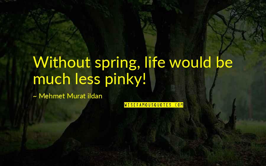 Michael Moritz Quotes By Mehmet Murat Ildan: Without spring, life would be much less pinky!