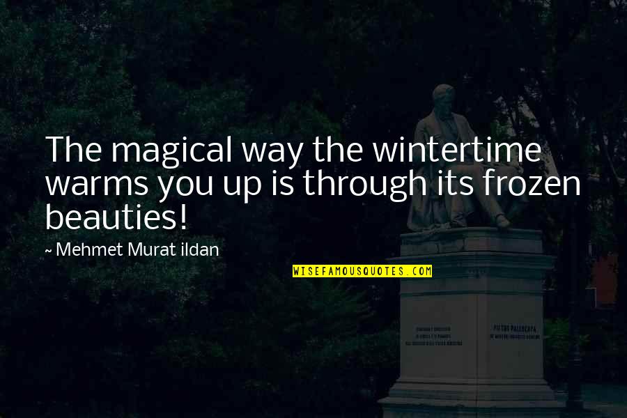 Michael Moscovitz Character Quotes By Mehmet Murat Ildan: The magical way the wintertime warms you up