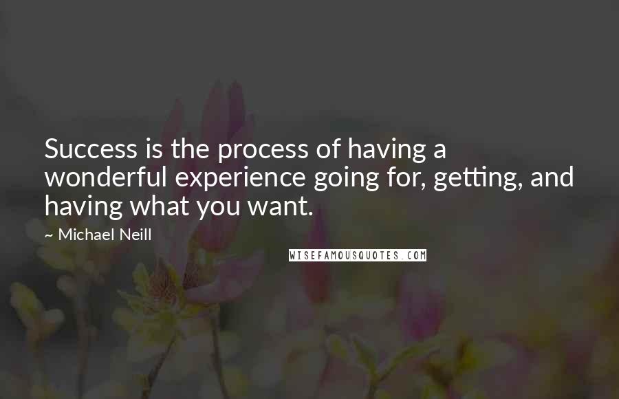 Michael Neill quotes: Success is the process of having a wonderful experience going for, getting, and having what you want.