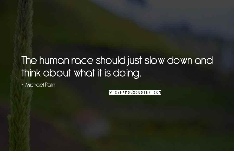Michael Palin quotes: The human race should just slow down and think about what it is doing.