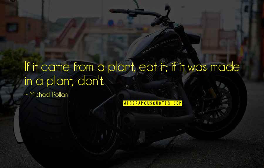 Michael Pollan Quotes By Michael Pollan: If it came from a plant, eat it; Michael Pollan Quotes By Michael Pollan: If it came from a plant, eat it;
