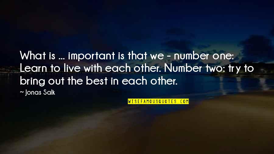 Michael Shelley Tma Quotes By Jonas Salk: What is ... important is that we - Michael Shelley Tma Quotes By Jonas Salk: What is ... important is that we -