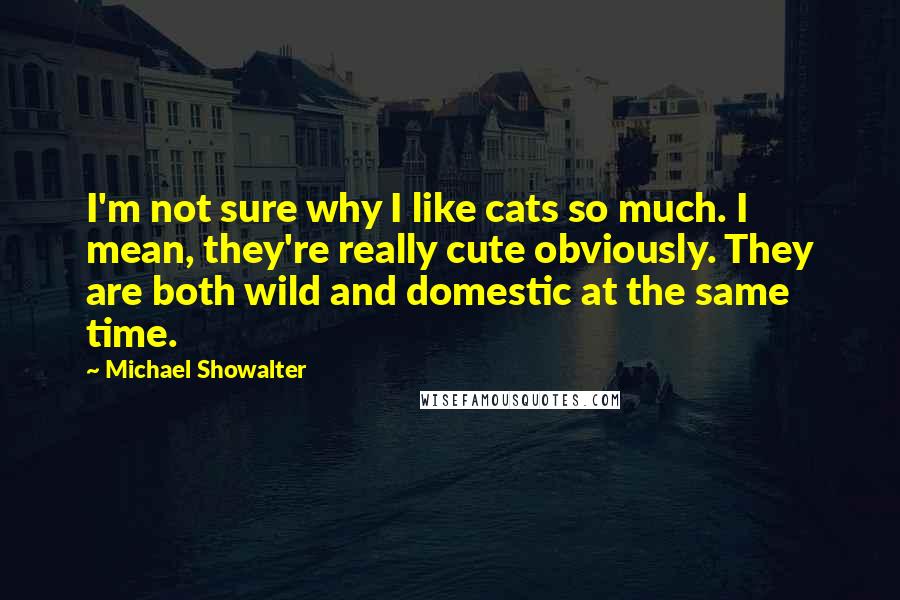 Michael Showalter quotes: I'm not sure why I like cats so much. I mean, they're really cute obviously. They are both wild and domestic at the same time.