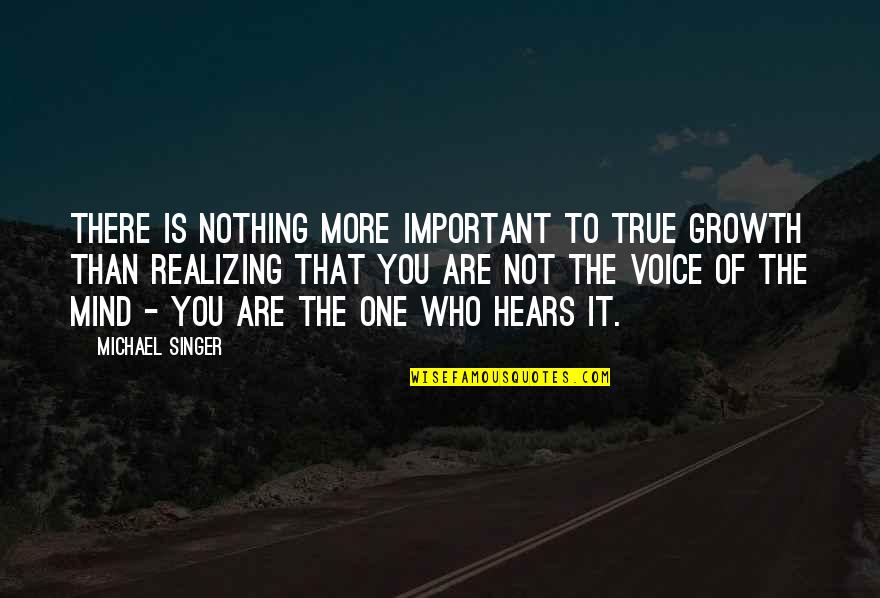 Michael Singer Quotes By Michael Singer: There is nothing more important to true growth