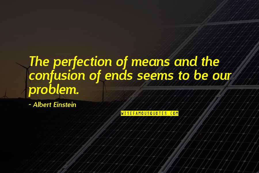 Michael Singer Surrender Quotes By Albert Einstein: The perfection of means and the confusion of