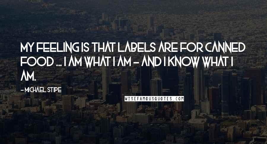 Michael Stipe quotes: My feeling is that labels are for canned food ... I am what I am - and I know what I am.