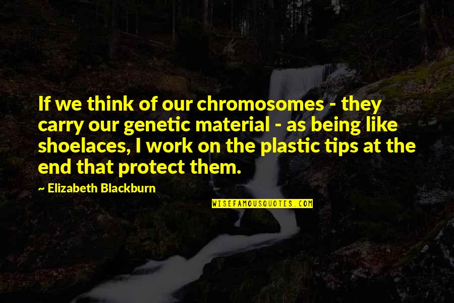 Michael Stonebridge Quotes By Elizabeth Blackburn: If we think of our chromosomes - they