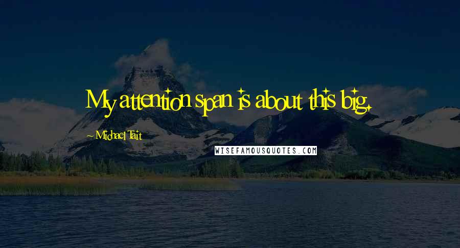 Michael Tait quotes: My attention span is about this big.