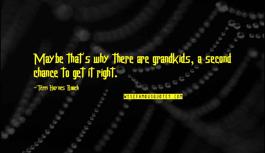 Michael Waddell Famous Quotes By Terri Haynes Roach: Maybe that's why there are grandkids, a second Michael Waddell Famous Quotes By Terri Haynes Roach: Maybe that's why there are grandkids, a second
